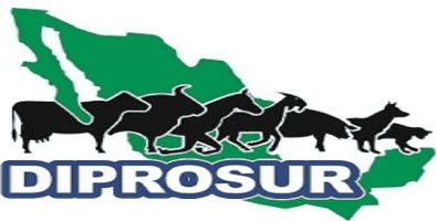 Logo DIPROSUR