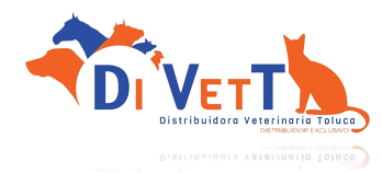 Logo DIVETT