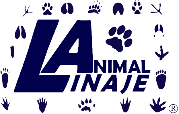 Logo LINAJE ANIMAL