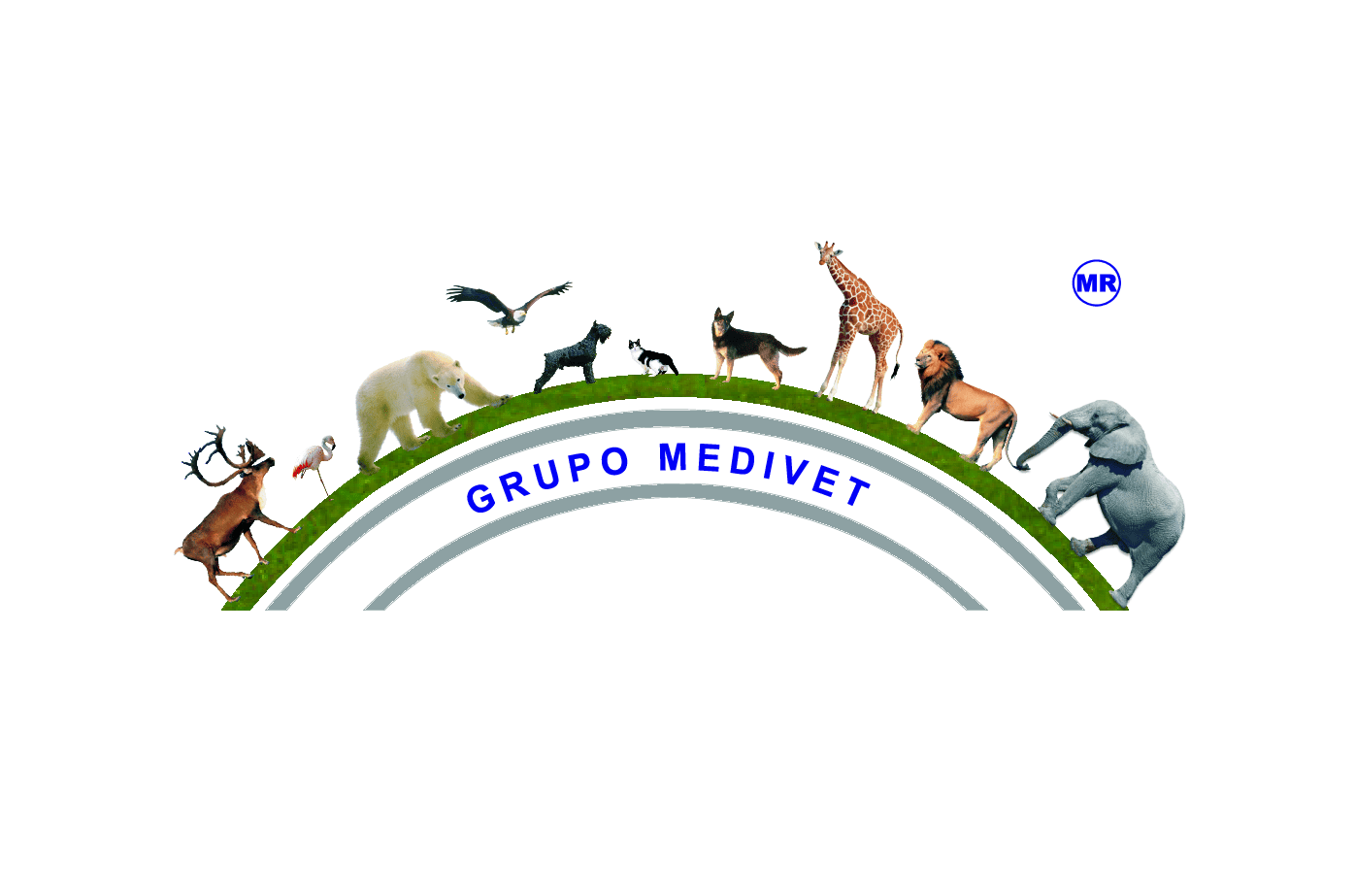 Logo MACRODISTRIBUIDORA